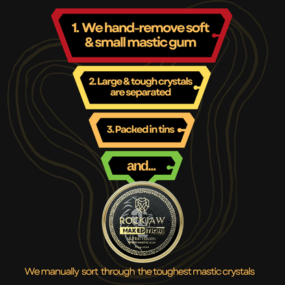 MAX Edition Ultra-Tough Mastic Gum Discount Bundle